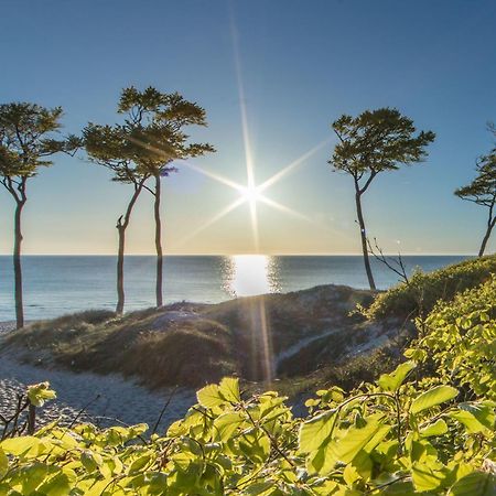 Fewo "Prerow" Eksteriør bilde